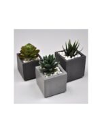 Plus Concrete Grey 500g 2 (1)